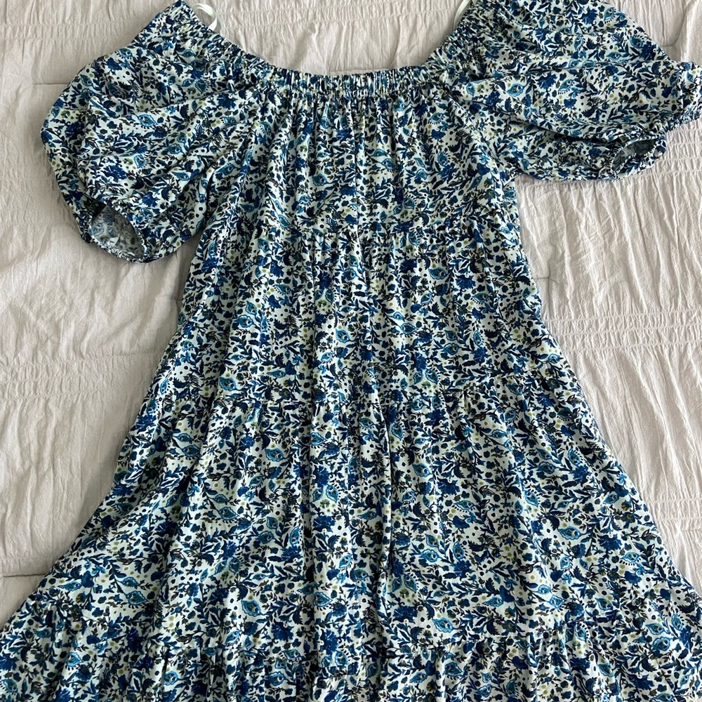 Wild Fable dress